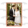 The Twilight Saga: Breaking Dawn Part 1 Edward and Bella s Wedding Edible Cake Topper Image ABPID54576 Sale