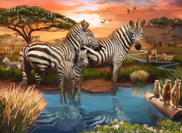 Zebras at Waterhole - 500pc Online now