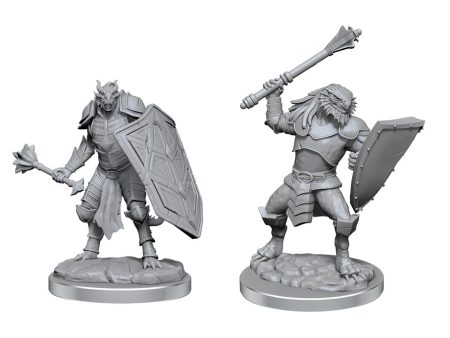 D&D Nolzur s Marvelous Miniatures: Wave 18: Dragonborn Cleric For Sale