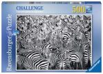 Zebra Challenge Online Hot Sale