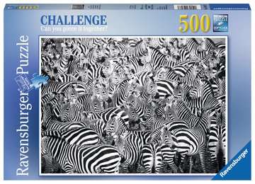 Zebra Challenge Online Hot Sale