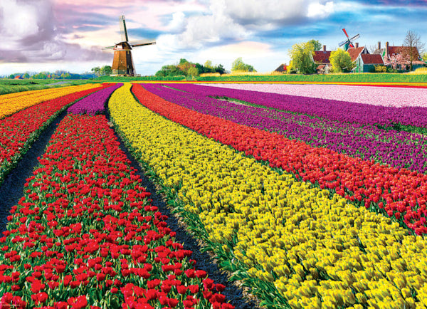 Tulip Fields Netherlands 1000pc on Sale