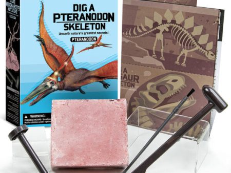 Dig a Pteranodon Skeleton Online Sale